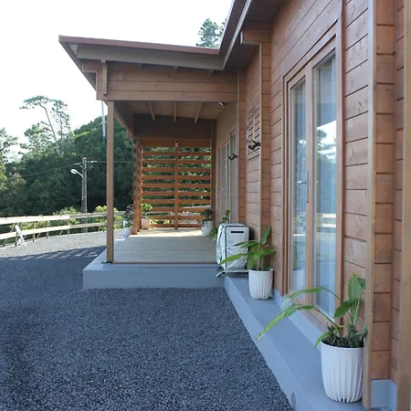Casa Da Camélia Casa vacanze